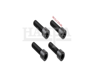 -HYDRAULIC-CALIPER BOLT SET M12x1,25x40 MM.